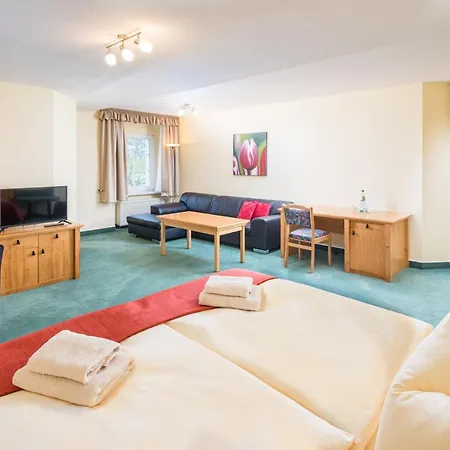 Hotel Purschenstein Neuhausen (Saxony)